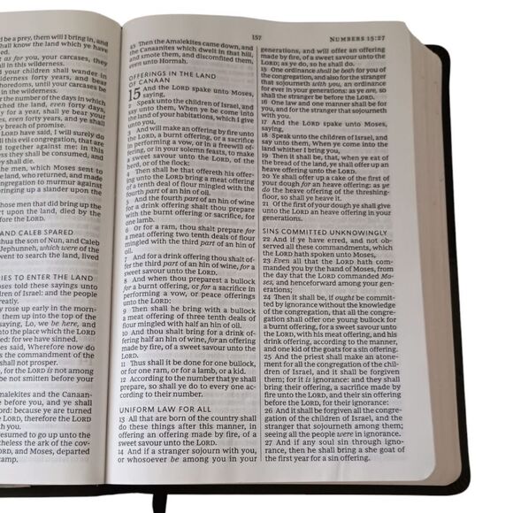 Thinline Bible Large Print Imitation Leather Red Letter Edition Thomas Nelson - Picture 6 of 16